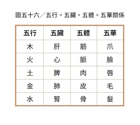 疾厄宮|《紫微攻略・紫微斗數新手村》：「疾厄宮」是古人用。